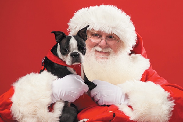 Santa with a dog during the holidays - Tips to Keep Your Pup Happy at Every Age