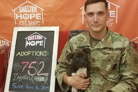 Apollo and active Army Staff Sgt. Justin Gilliss. 