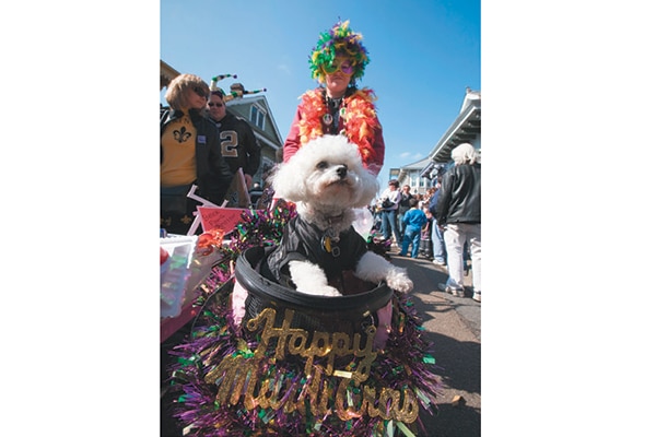 I love a Barkus Parade. 