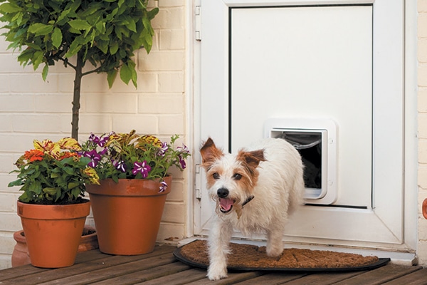 Microchip Pet Door Connect.