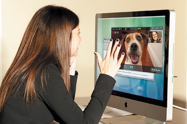 PetChatz.