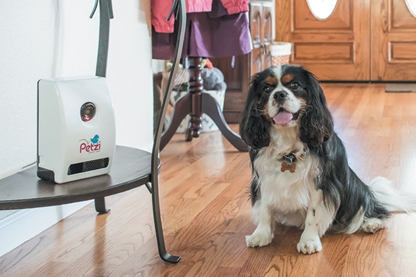 Petzi Treat Cam.
