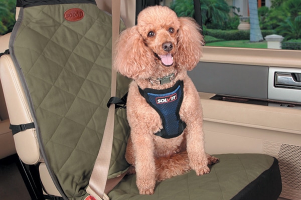 Solvit Premium Bucket Seat Covers.