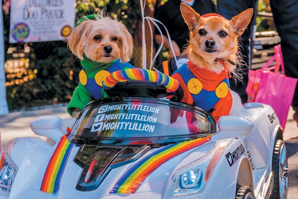 Spooktacular Tompkins Square Halloween Dog Parade.