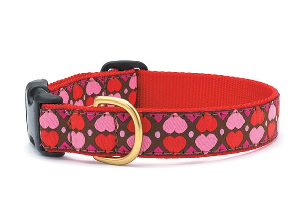 UpCountry All Hearts collar.