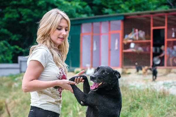 Djonik at the Sochi Dogs shelter.