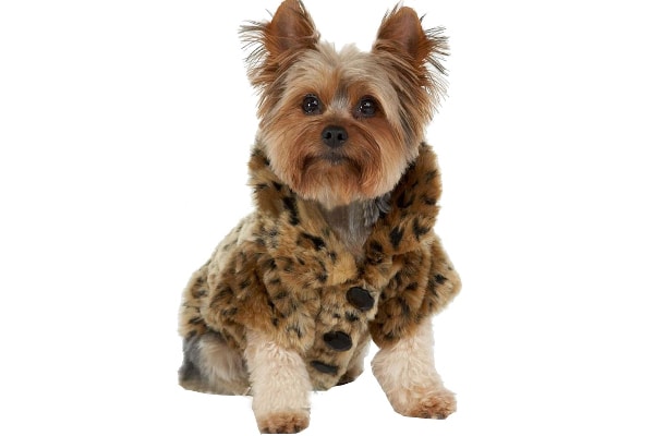 Faux fur dog jacket. 