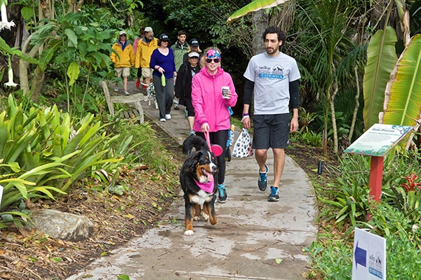 San Diego 5K.