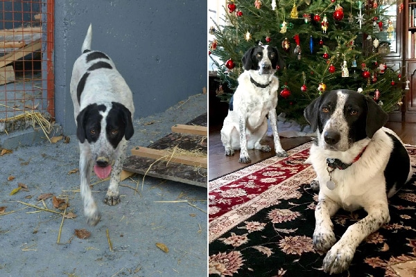 Sonya before and after.