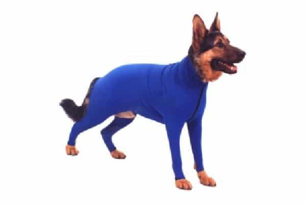 Dog sun-protection dog coat.