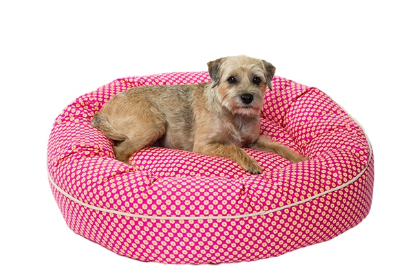 The Pink Follard Pattern Nesting Bed from Canine Styles.