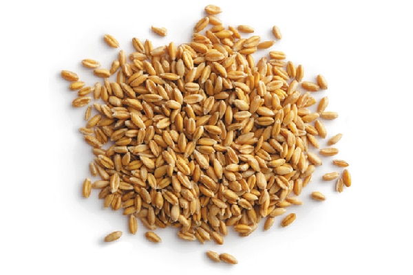 Closeup photo of grains.