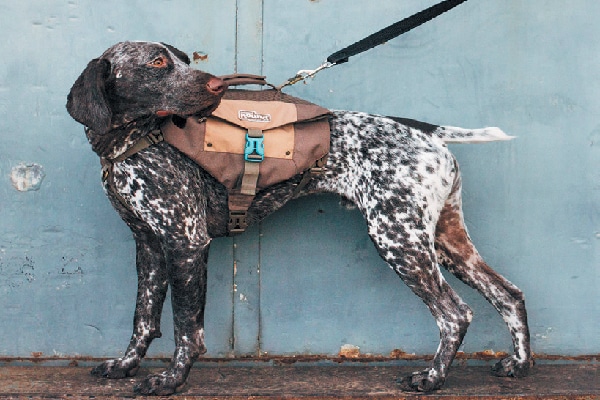 Denver Urban Pack, outwardhound.com.