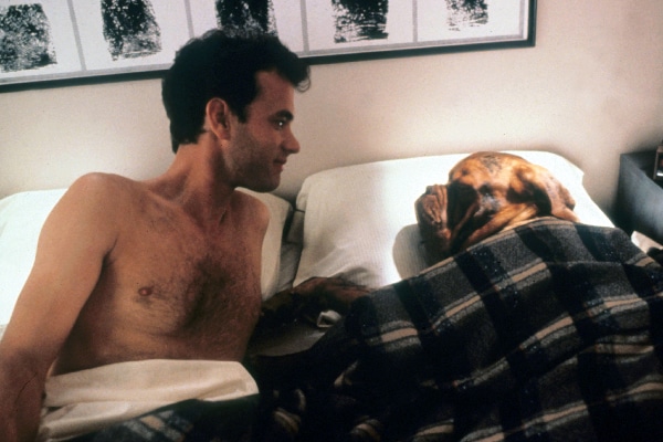 Tom Hanks and the dog in Hooch and Turner.