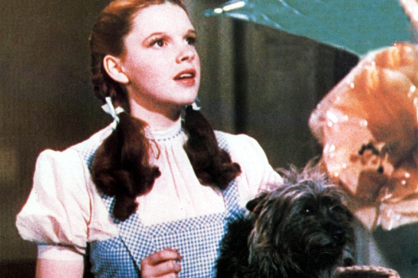 Toto in the Wizard of Oz.