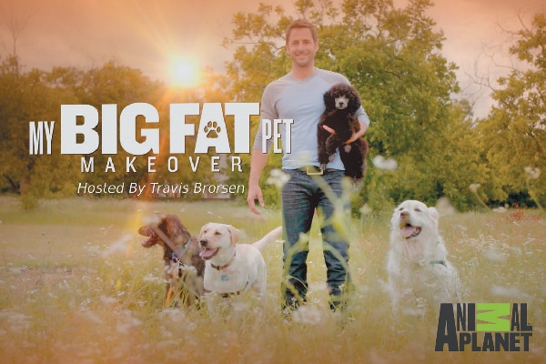The first season of My Big Fat Pet Makeover is available to stream on the Animal Planet Go app. 