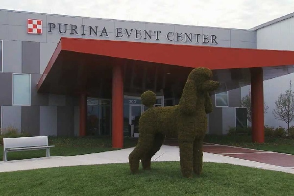 Trick Dog Expo.