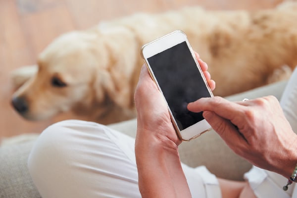 Dog parent on smart phone. 
