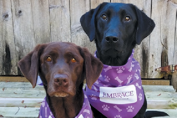 Embrace Pet Insurance Wellness Rewards Program.