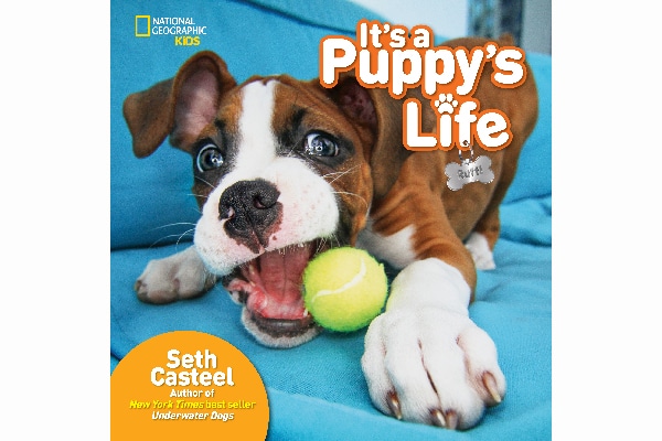Seth's new book, t's a Puppy's Life. 