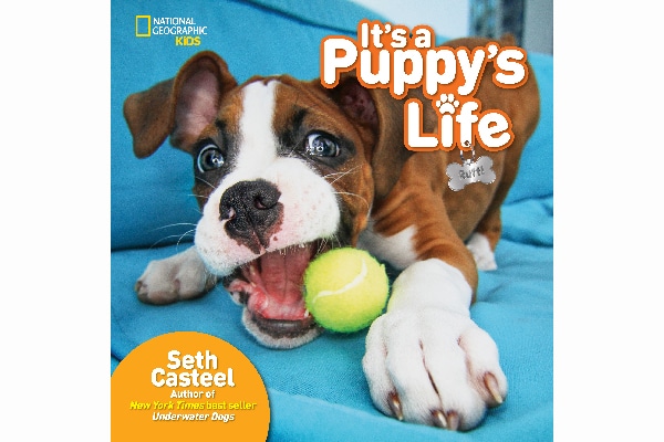 Seth's new book, t's a Puppy's Life.
