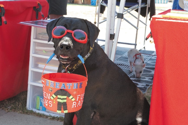 America's Family Pet Expo. 