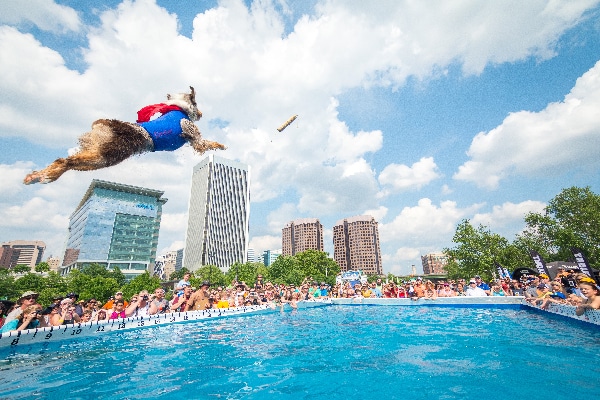 Photography by Jason Hicks, Courtesy Subaru Ultimate Air Dogs Competition.