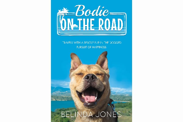 Bodie on the Road.