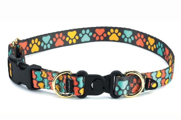 Break-away collar from PetSafe (petsafe.com).