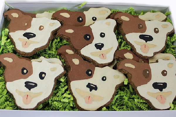 Pit Bull Decorated Treats - Grain-free, PuppyStyleTreats ($23). https://www.etsy.com/shop/PuppyStyleTreats https://www.etsy.com/listing/512384422/pit-bull-decorated-treats-grain-free?ref=shop_home_active_16 