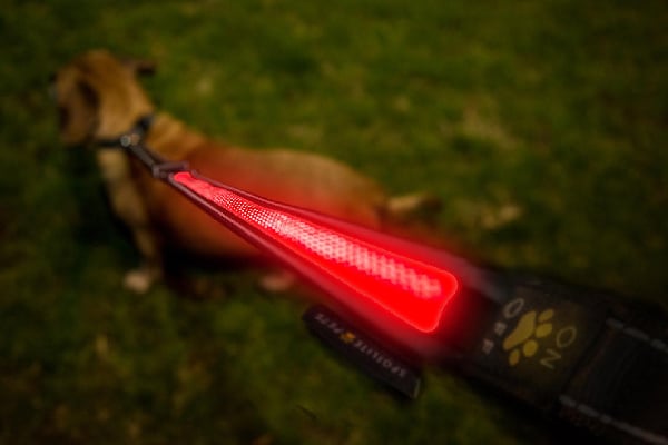 Premium LED Flashing Dog Leash USB Rechargeable, Spotlite ($20.99). amazon.com