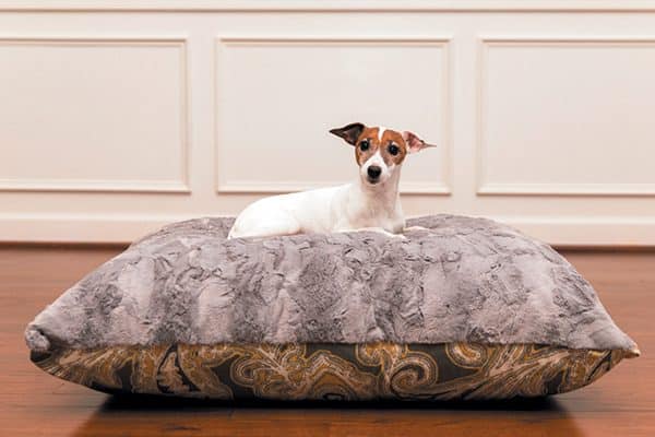  Ritzy Rex Grey and Yellow Paisley Luxury designer dog bed.