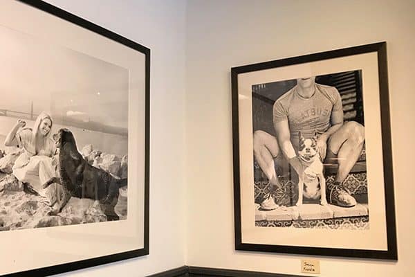 Fine art dog photographer Jesse Freiden's exhibit runs through August 15 at the Museum of Dog.