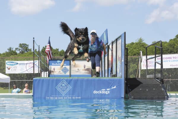 Agway of Cape Cod’s Paw Palooza dog festival gives back in a big way to local animal welfare organizations.
