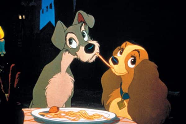 You might recognize this Miniature Schnauzer from Disney's Lady and the Tramp. Photography ©adogslifephoto | Getty Images.