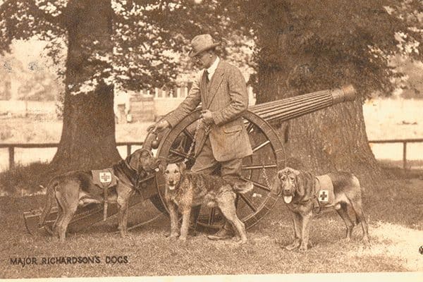 Col. Edwin Richardson’s specially trained dogs served alongside British troops during the World Wars. Photography ©Amoret Tanner | Alamy Stock Photo.