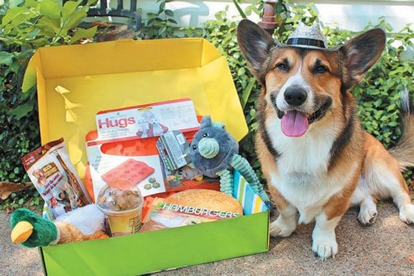 Pet Treater Monthly Pet Box.