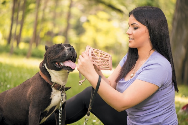 A woman putting a basket muzzle on her dog. 