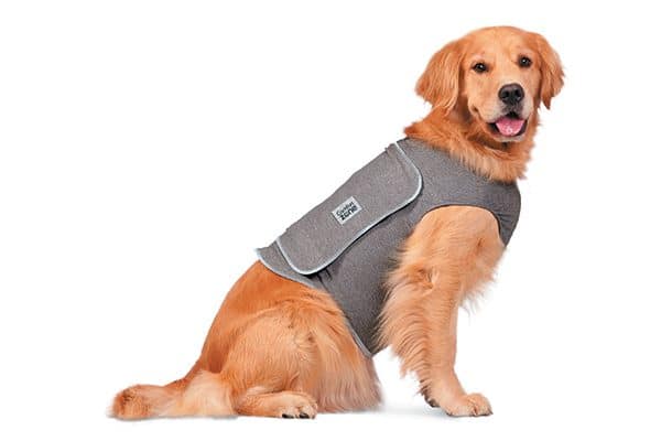 Comfort Zone Calming Vest.