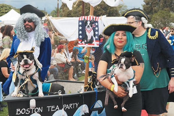 Ahoy, doggies! These Boston Terriers took the 2016 Best in Show at the 16th annual Haute Dog Howl’oween Parade in Long Beach, California. 