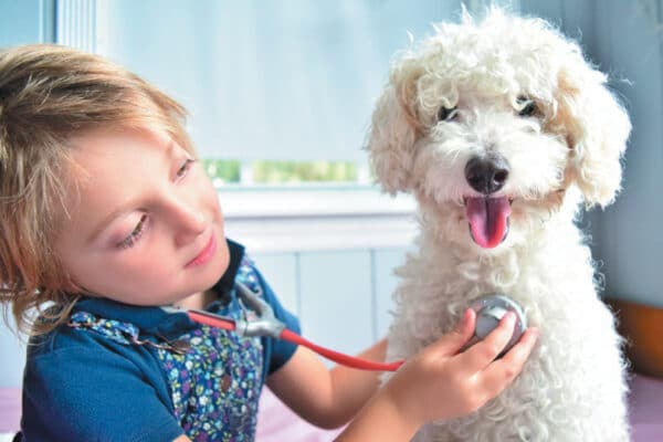 Talk to your vet about the proper vaccination schedule for your puppy. Photography ©Lisa5201 | Getty Images. 