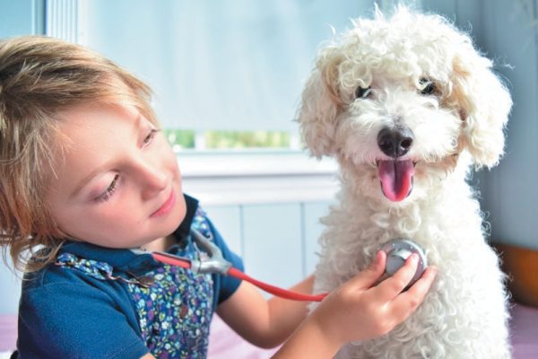Talk to your vet about the proper vaccination schedule for your puppy. Photography ©Lisa5201 | Getty Images.