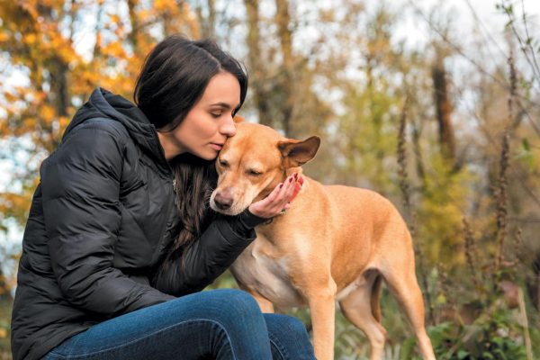 Certain breeds are at risk for autoimmune disease in dogs. Photography ©Teran Buckner | Phido Photography.