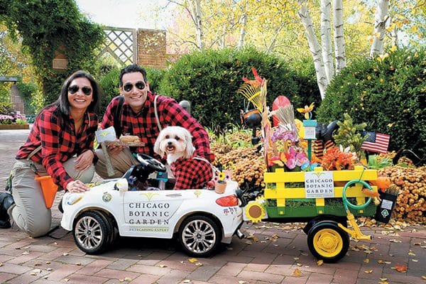 Bella, a Shi Tzu- Pomeranian mix, rolled away with the prize for Best Senior at the Spooky Pooch Parade, with a horticulture theme perfect for the venue!
