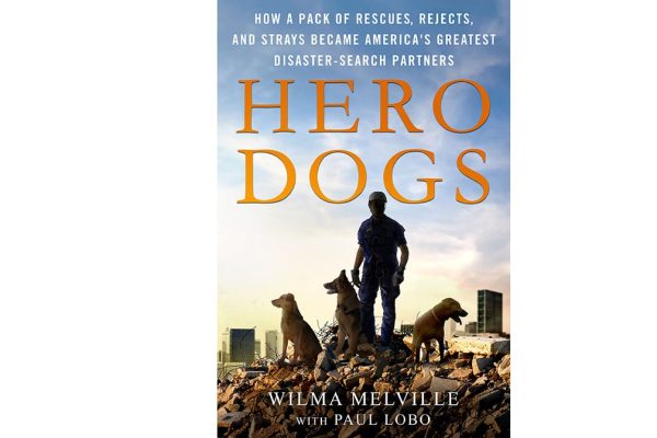 Just published — the story of how Wilma Melville founded the National Disaster Search Dog Foundation (SDF) from a band of shelter dogs and misfits. 