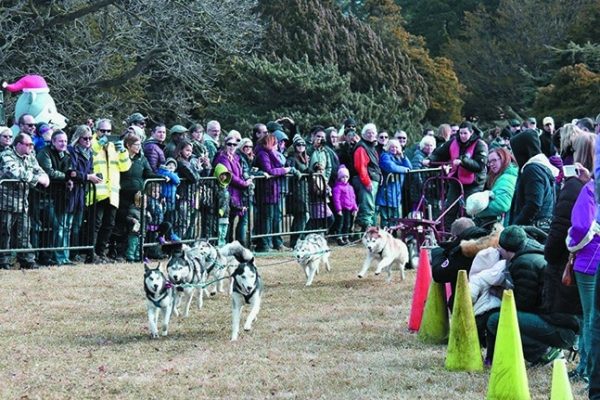 The 17th Husky Heroes dog event takes place at the Morton Arboretum in Lisle, Illinois.
