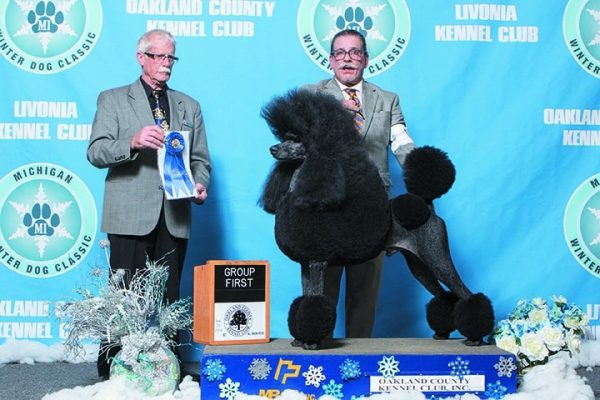 Be sure to check out the Michigan Winter Dog Classic — Michigan’s largest dog show, with 7,000 dogs representing 170 breeds in Novi, Michigan.
