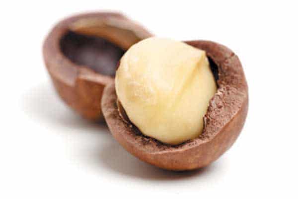 Macadamia nuts are toxic to dogs and can cause severe symptoms if ingested: low-grade fever, vomiting and neurologic issues. Never feed macadamia nuts to a dog. Photography ©adogslifephoto | Getty Images.