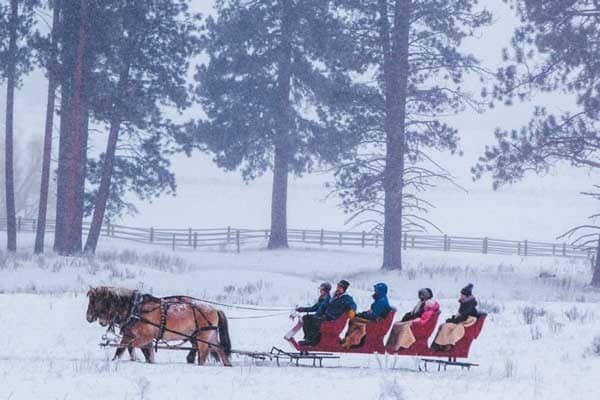  The Resort at Paws Up packs in seasonal activities like sleigh trips and dogsledding.