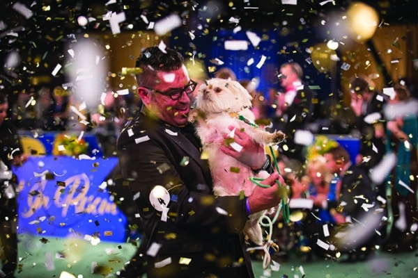 Bernie Botts wins 2018 Best Listener category in the American Rescue Dog Show. Credit: © 2017 Crown Media United States, LLC | Photo: Alexx Henry Studios, LLC / jeremy lee